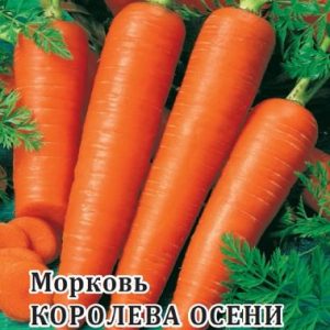 Морковь Королева Осени 25г