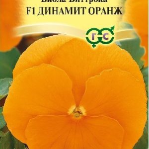 Виола Виттрока Динамит Оранж*  5 шт сер. Элитная клумба