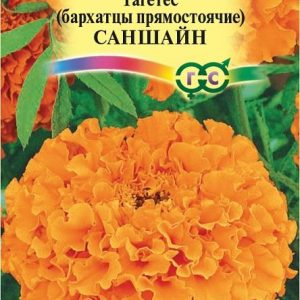 Бархатцы пр. Саншайн (30 см) 0,1г