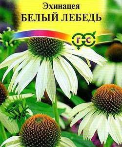 Эхинацея Белый лебедь* 0,1 г