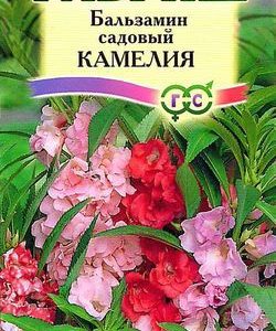 Бальзамин Камелия садовый 0,1 г