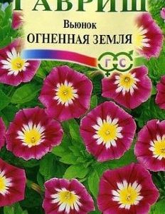 Вьюнок Огненная земля 0,5 г