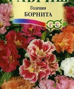 Годеция Борнита* 0,05 г Н9