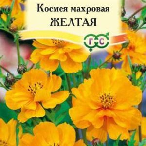 Космея Желтая 0,3 г