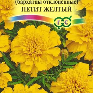 Бархатцы откл. Петит желтый (Тагетес) 0,3 г  Н12