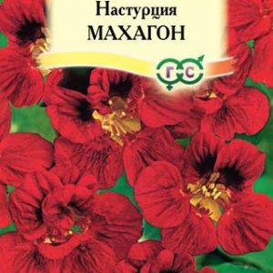 Настурция Махагон махр. 1,0г