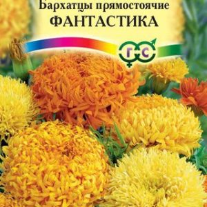 Бархатцы пр. Фантастика смесь 0,1 г Н12