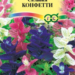 Сальвия Конфетти 0,05 г Н9