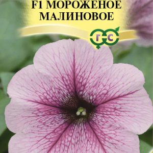 Петуния Мороженное малиновое F1 многоцв. 5 шт. прбирка Н12