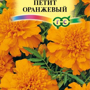 Бархатцы откл. Петит оранжевый 0,3 г Н12