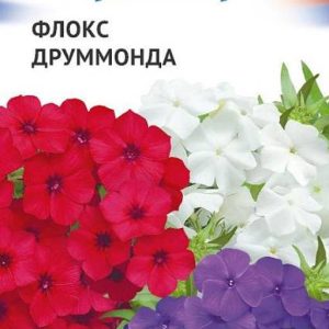 Флокс Друммонда смесь серия Триколор 0,15 г