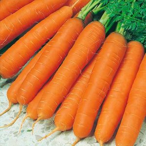 Морковь Осенний король 10 гр