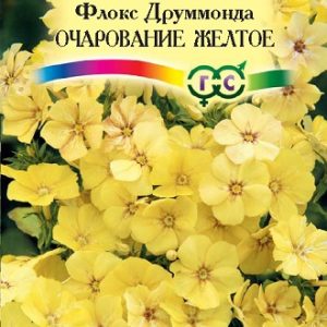 Флокс Очарование желтое, друммонда* 0,05 г  Н12