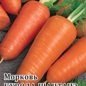 Морковь Куорда Шантенэ 25,0 г