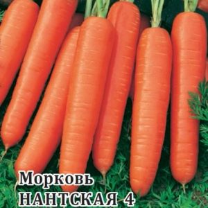 Морковь Нантская 4  25,0г