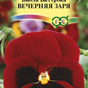 Виола Виттрока Вечерняя заря* 0,05 г