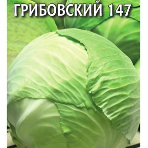 Капуста белокоч. №1 Грибовский 147 0,5 г сер. Традиция