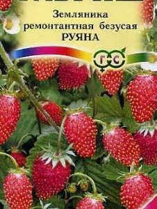 Земляника Руяна ремонтантная безусая* 0,03 г