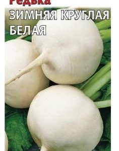 Редька Зимняя круглая белая 2,0 г сер. Традиция Н11