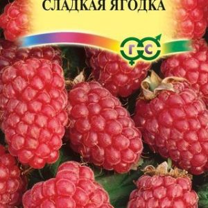 Малина Сладкая ягодка 10 шт Н13