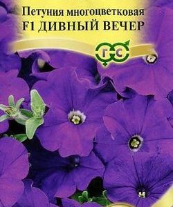 Петуния Дивный вечер  F1 многоцв. гранул. 7 шт пробирка