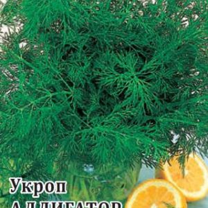 Укроп Аллигатор 100,0 г