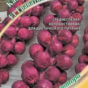 Капуста брюссел. Гранатовый браслет 0,1