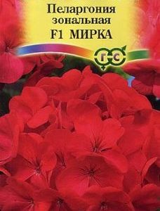 Пеларгония зональная Мирка F1* 4 шт.