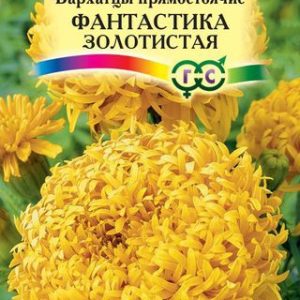 Бархатцы пр. Фантастика золотистая 0,1 г Н12