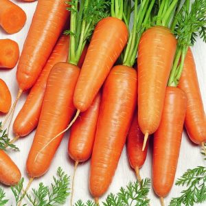 Морковь Кордоба уп.2 гр.