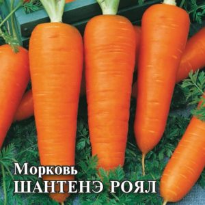 Морковь Шантенэ Роял 25,0 г